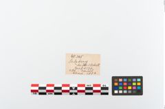 Foto von Bronzekugelkopfnadel (NHMW-PRAE-048345)